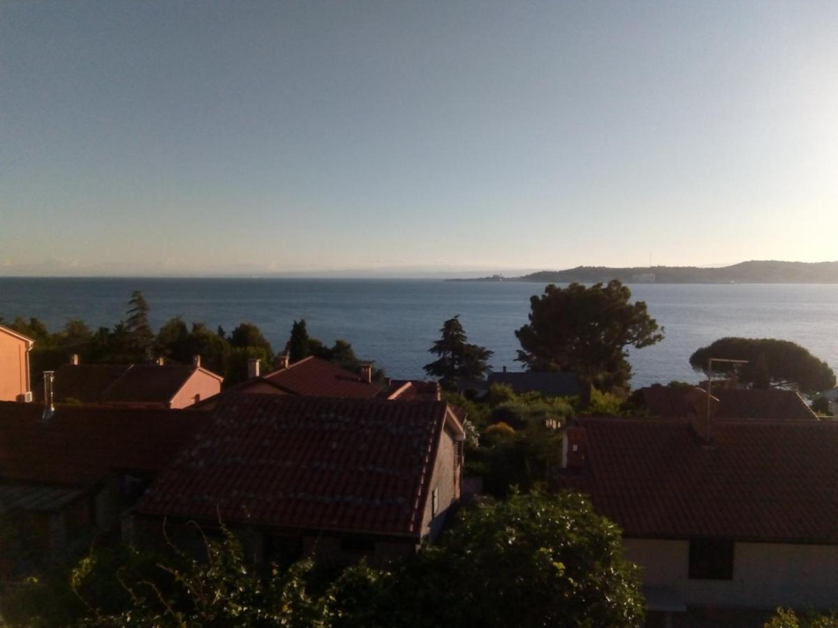 Villa Riva Umag Extérieur photo