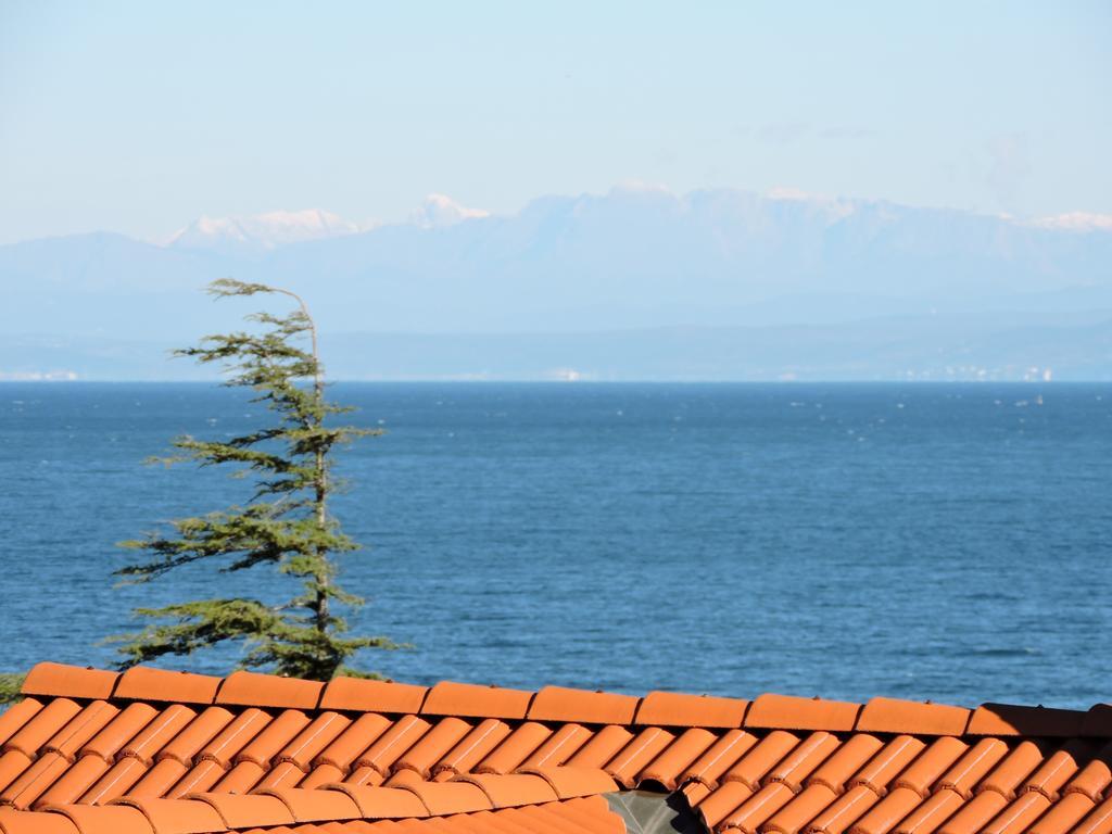 Villa Riva Umag Extérieur photo